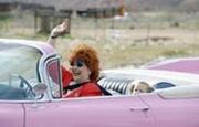 Petunia Waving