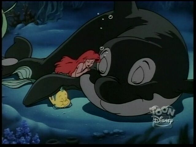 File:Whale108.jpg