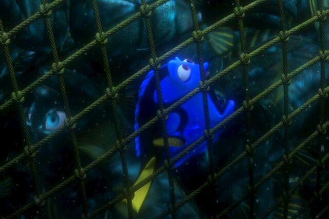 File:Findingnemo1030.jpg