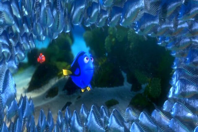 File:Findingnemo0532.jpg