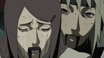 Naruto Shippuuden 249-0368