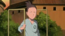 Naruto Shippuuden 177-255