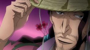 Bleach 203-161