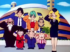 Goku's Traffic Safety