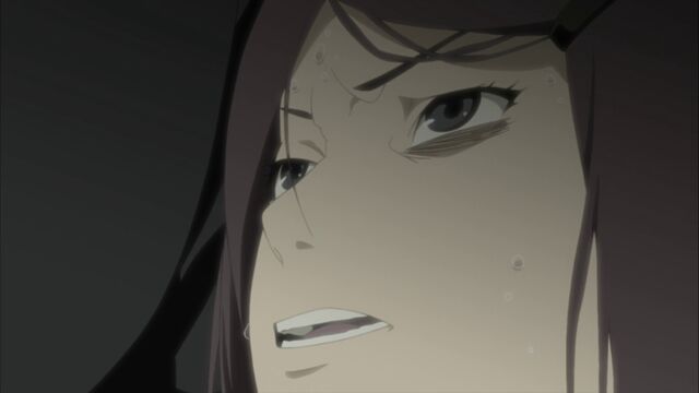 File:Naruto Shippuuden 248-0172.jpg