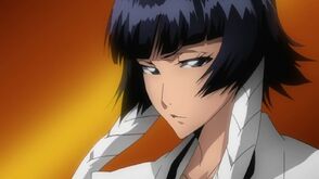 Bleach 203-160