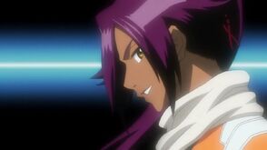Bleach 196-360