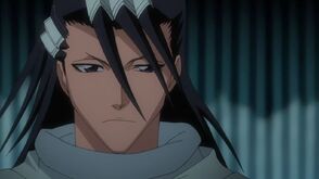 Bleach 196-089