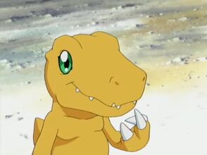Greymon0015