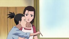 Naruto Shippuuden 177-351