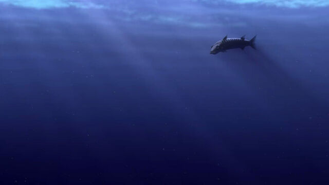 File:Finding-nemo-disneyscreencaps com-250.jpg