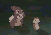 Rodents