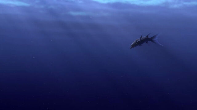 File:Finding-nemo-disneyscreencaps com-282.jpg