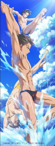 File:Dive3.jpg