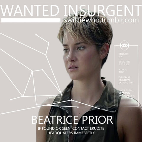 File:WANTED-TRIS.jpg
