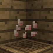 Tomato Seed Item