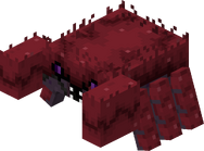 King crab