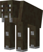 Husk