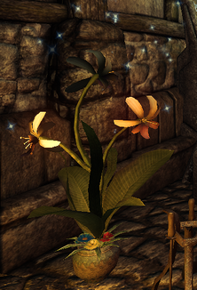 Stardust (D2 herb)