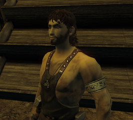 Divinity 2 Pilcher