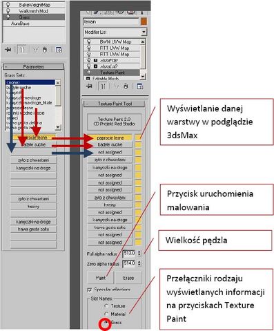 Plik:Pel 11.jpg