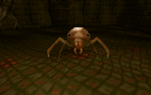 SpiderFront