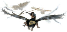 Nightglider (Ghostwise Halflings)