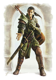 Half-Elf Emissary