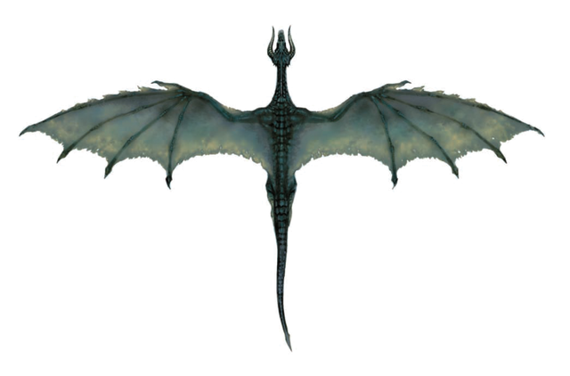 File:Black Dragon (overhead).png