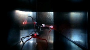 Arañas-metal-300x168.jpg