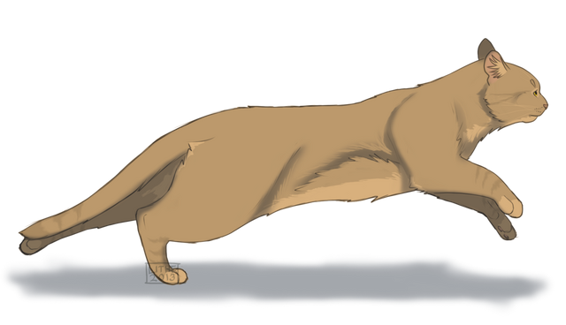 File:Tigerstrike.png