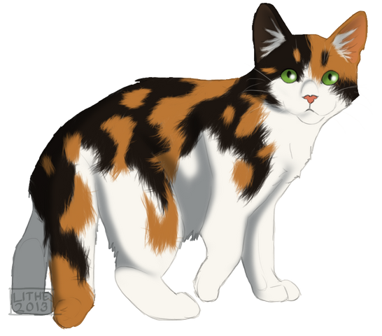 File:Sweetpaw tc by lithestep-d5wmi4w.png