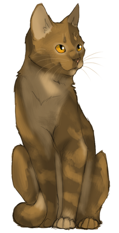 File:Ace.png