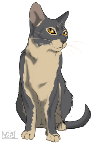 File:Ferretclaw.png