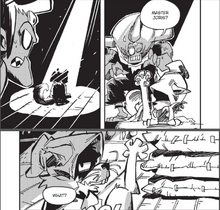Joris gato.png