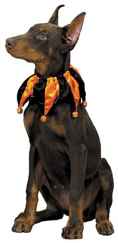 File:Jester Dog.jpg
