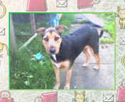 File:Lady2..jpg