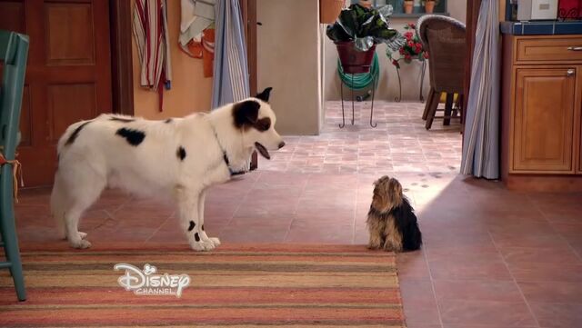 File:Sparky and stan.jpg