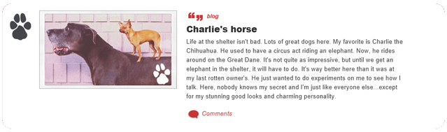 File:Charlie's horse.png
