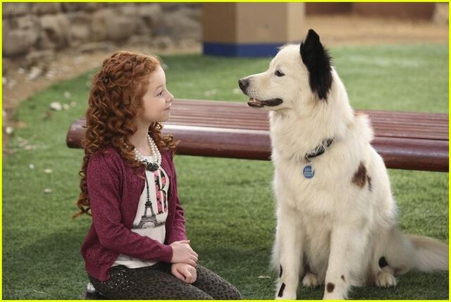 File:Dog-blog-makeovers-max-stan-stills-05.jpg