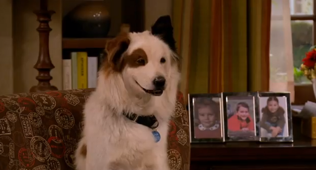 File:ANewBaby11.png