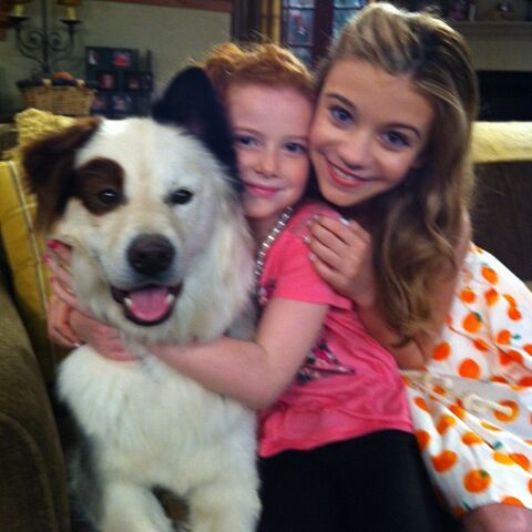 File:G hannelius with stan and fran season 2 SlEowUip sized.jpg