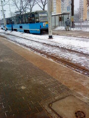 DSC00117.jpg