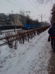 DSC00104.jpg