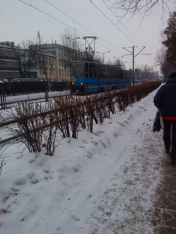 Plik:DSC00104.jpg