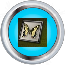 Badge-picture-4.png