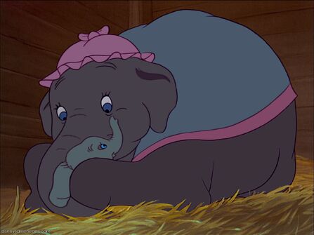 Dumbo 3.jpg