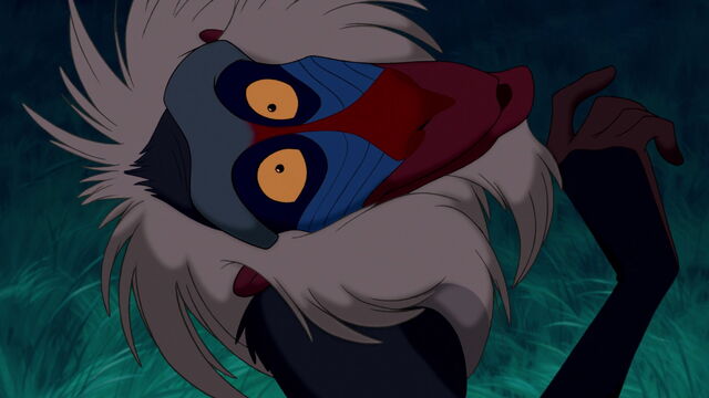 Archivo:Rafiki 4.jpg