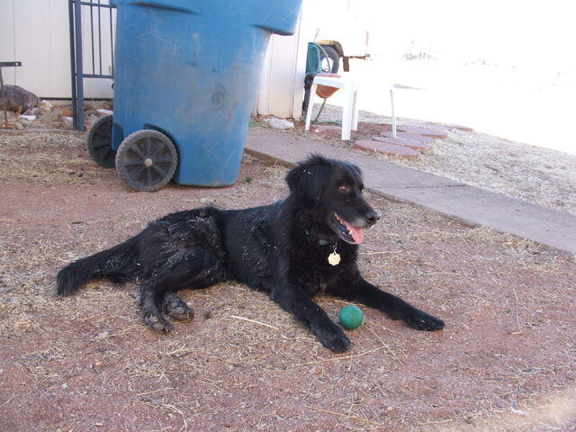 File:2004 0229(017).jpg