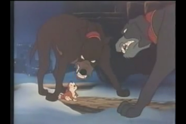 File:Woodpilecat.png